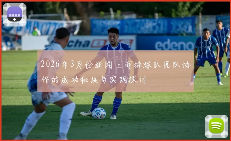 2026年3月份新闻上海排球队团队协作的成功秘诀与实践探讨